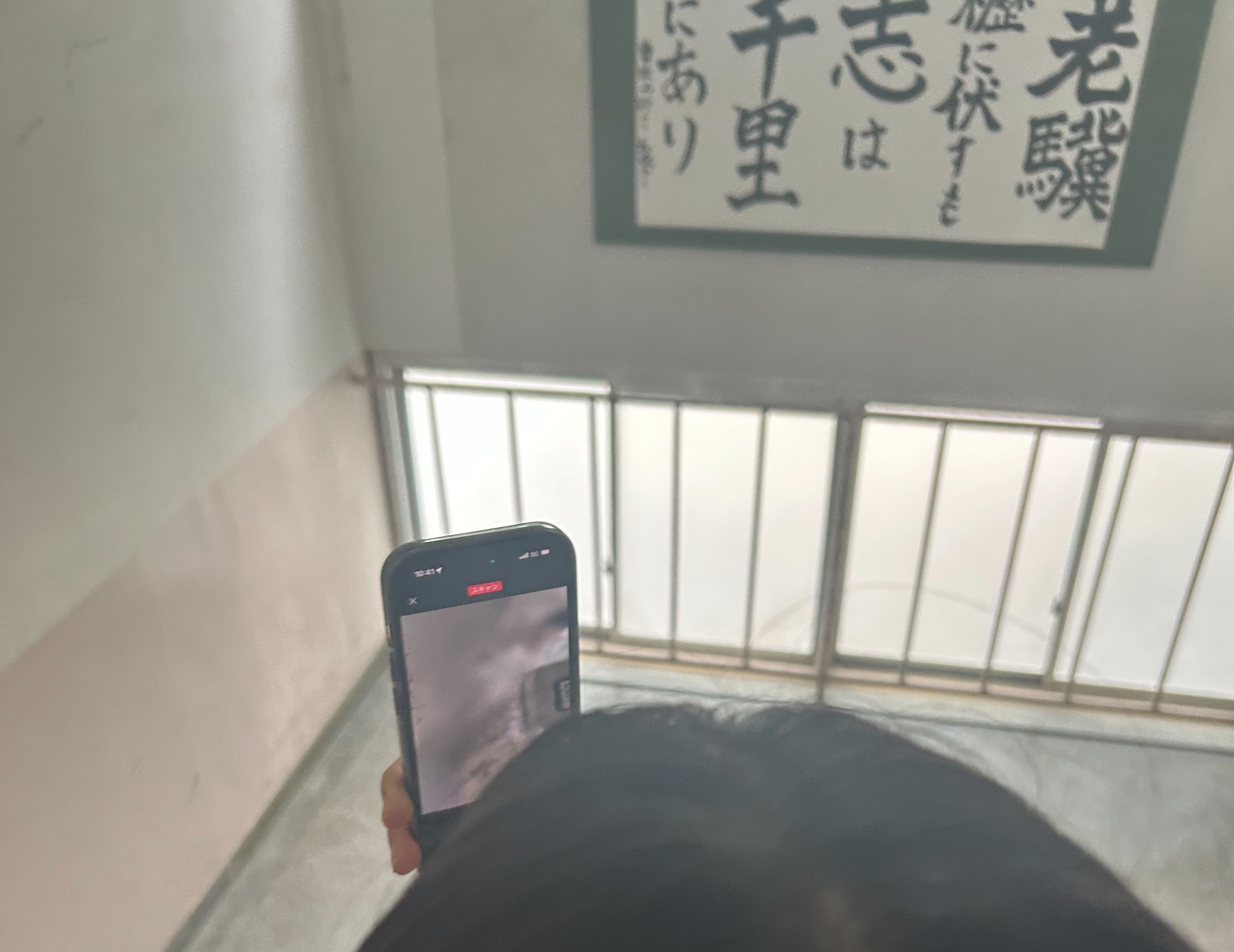 3Dスキャン活動